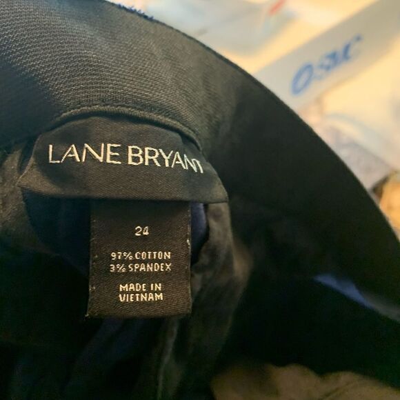 Size 24, Lane Bryant Shorts - Picture 4 of 4